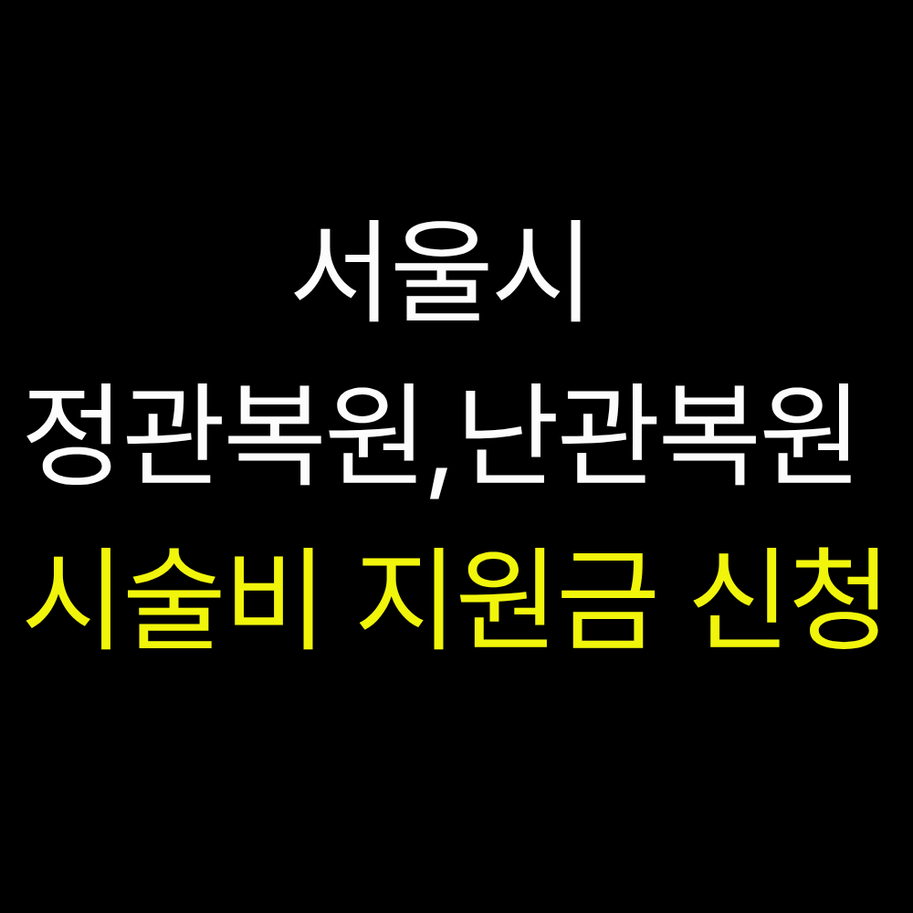 정관복원,난관복원 시술비 지원금