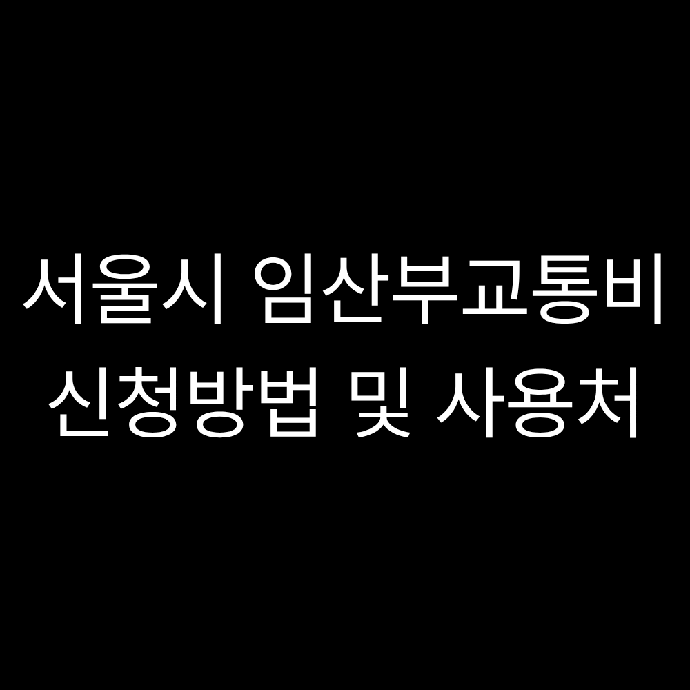 서울시 임산부교통비 지원 신청방법