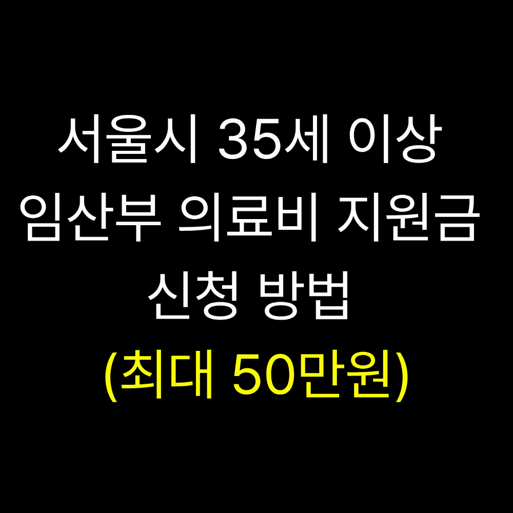 서울시 35세 이상 임산부 의료비 지원금