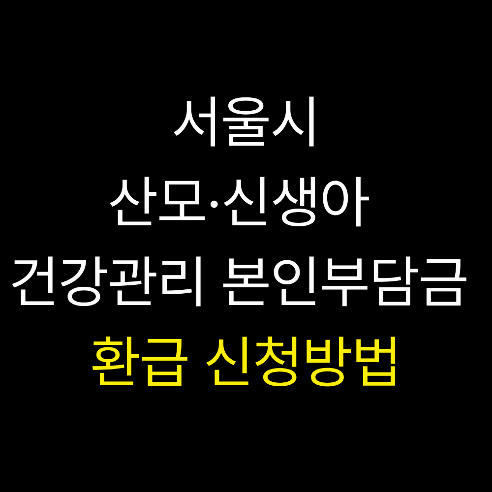 산모 신생아 건강관리 지원금 신청