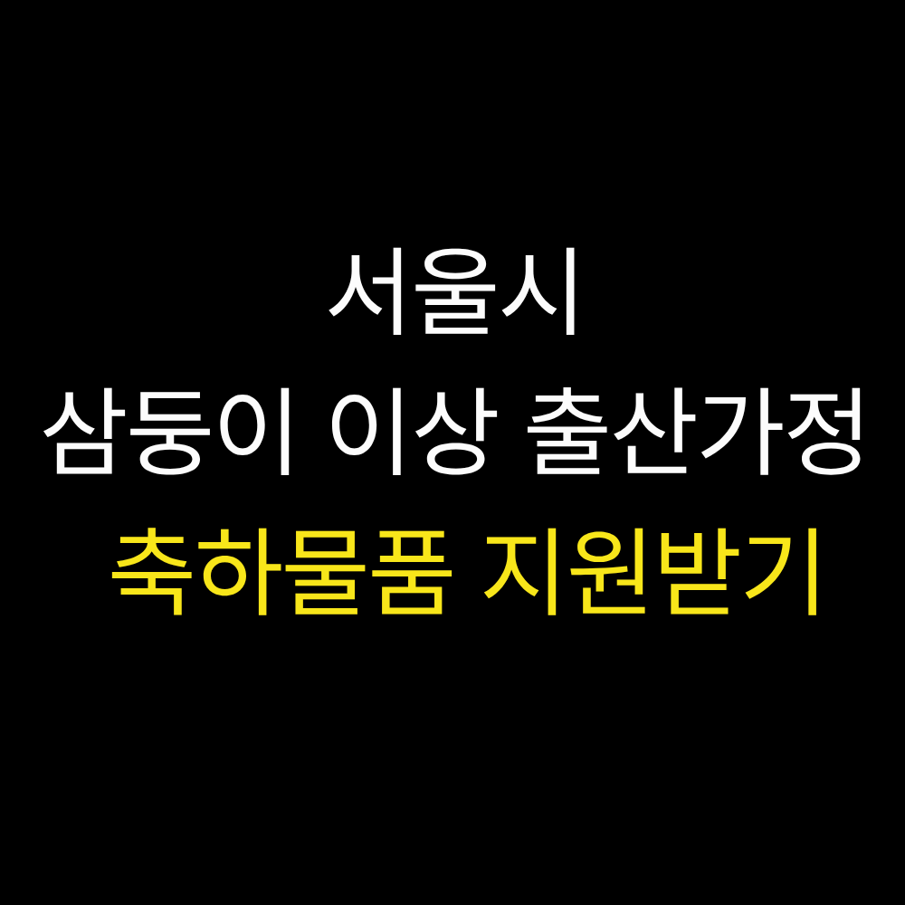 서울시 삼둥이 이상 출산가정 축하물품 지원